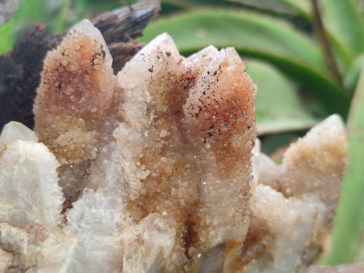 Natural Limonite Tinted Spirit Quartz Clusters x 2 From Boekenhouthoek, South Africa