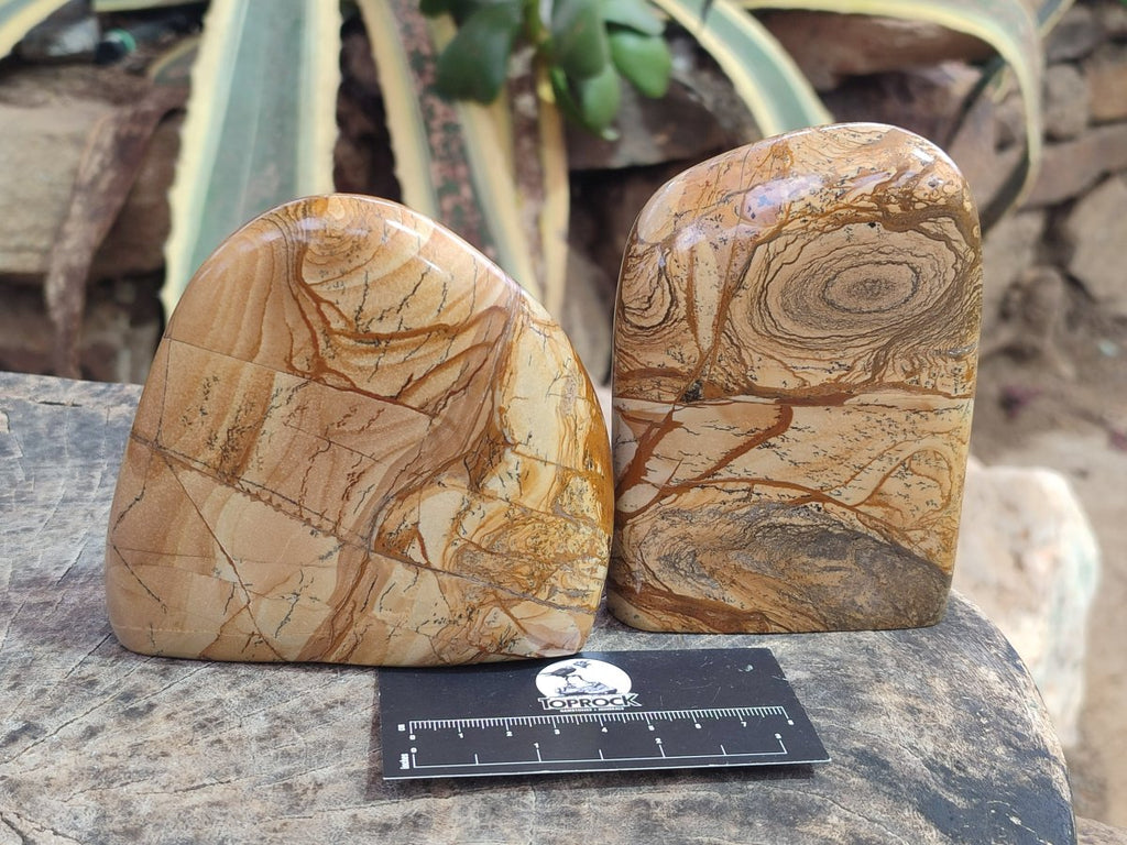 Polished Picture Stone Jasper Standing Display Pieces x 2 From Ais-Ais, Namibia