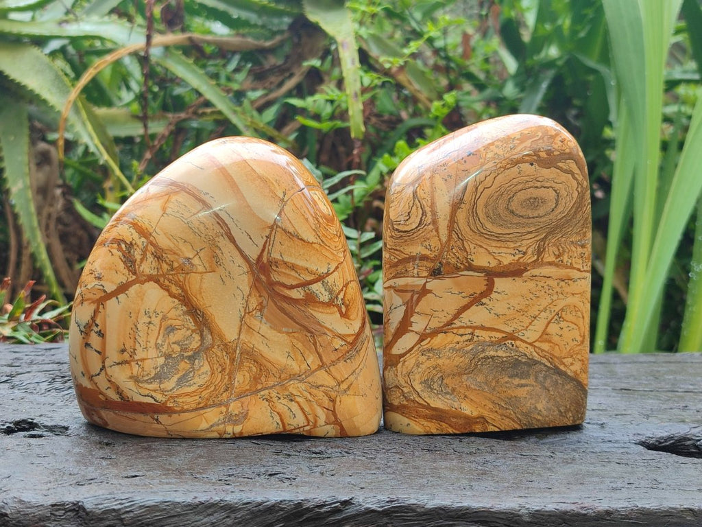 Polished Picture Stone Jasper Standing Display Pieces x 2 From Ais-Ais, Namibia