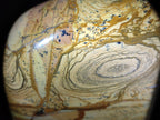 Polished Picture Stone Jasper Standing Display Pieces x 2 From Ais-Ais, Namibia