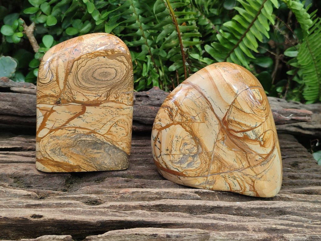 Polished Picture Stone Jasper Standing Display Pieces x 2 From Ais-Ais, Namibia