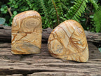 Polished Picture Stone Jasper Standing Display Pieces x 2 From Ais-Ais, Namibia