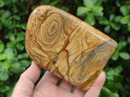 Polished Picture Stone Jasper Standing Display Pieces x 2 From Ais-Ais, Namibia
