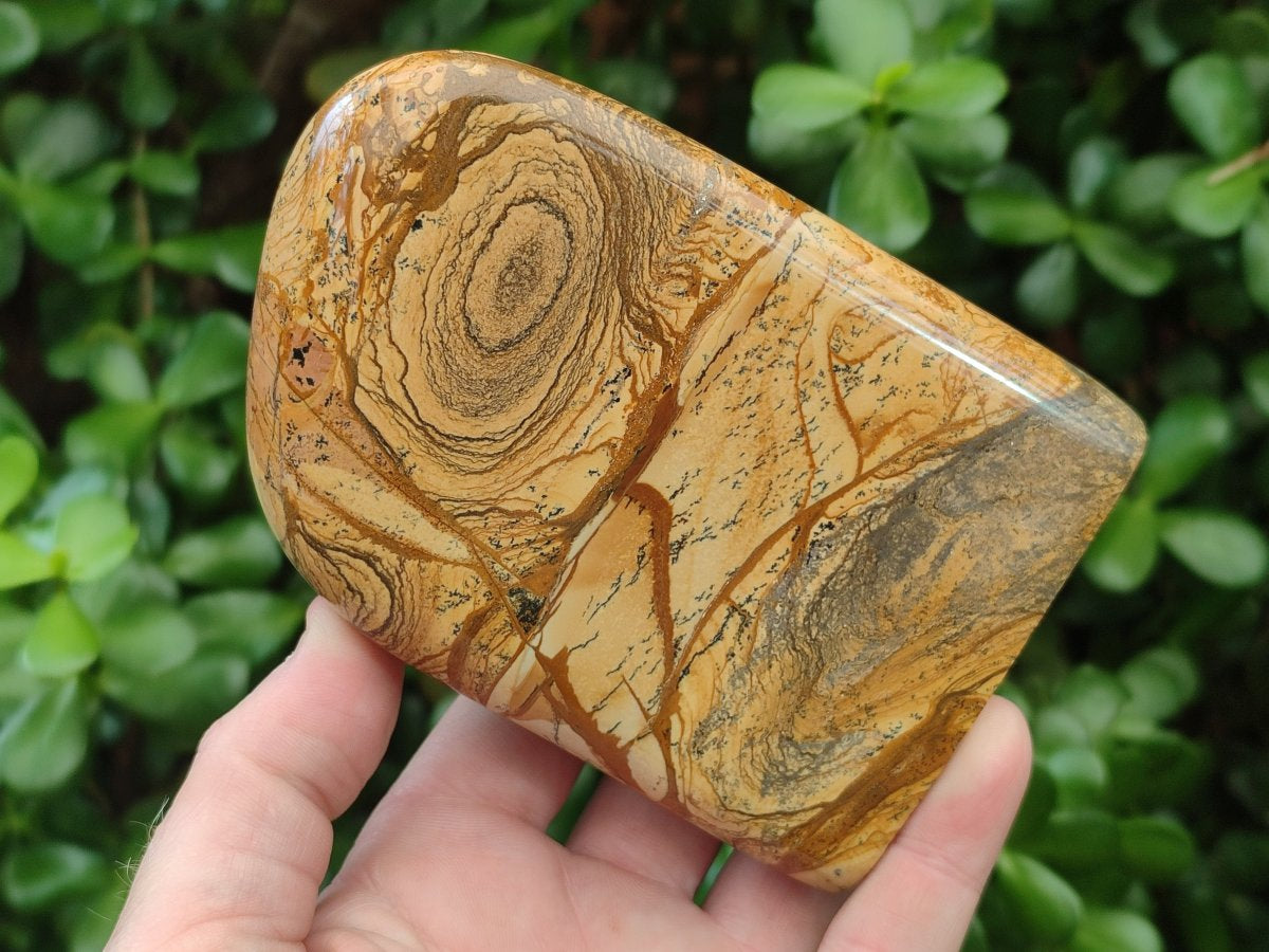 Polished Picture Stone Jasper Standing Display Pieces x 2 From Ais-Ais, Namibia