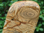 Polished Picture Stone Jasper Standing Display Pieces x 2 From Ais-Ais, Namibia