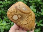 Polished Picture Stone Jasper Standing Display Pieces x 2 From Ais-Ais, Namibia