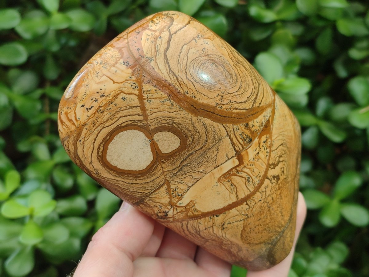 Polished Picture Stone Jasper Standing Display Pieces x 2 From Ais-Ais, Namibia