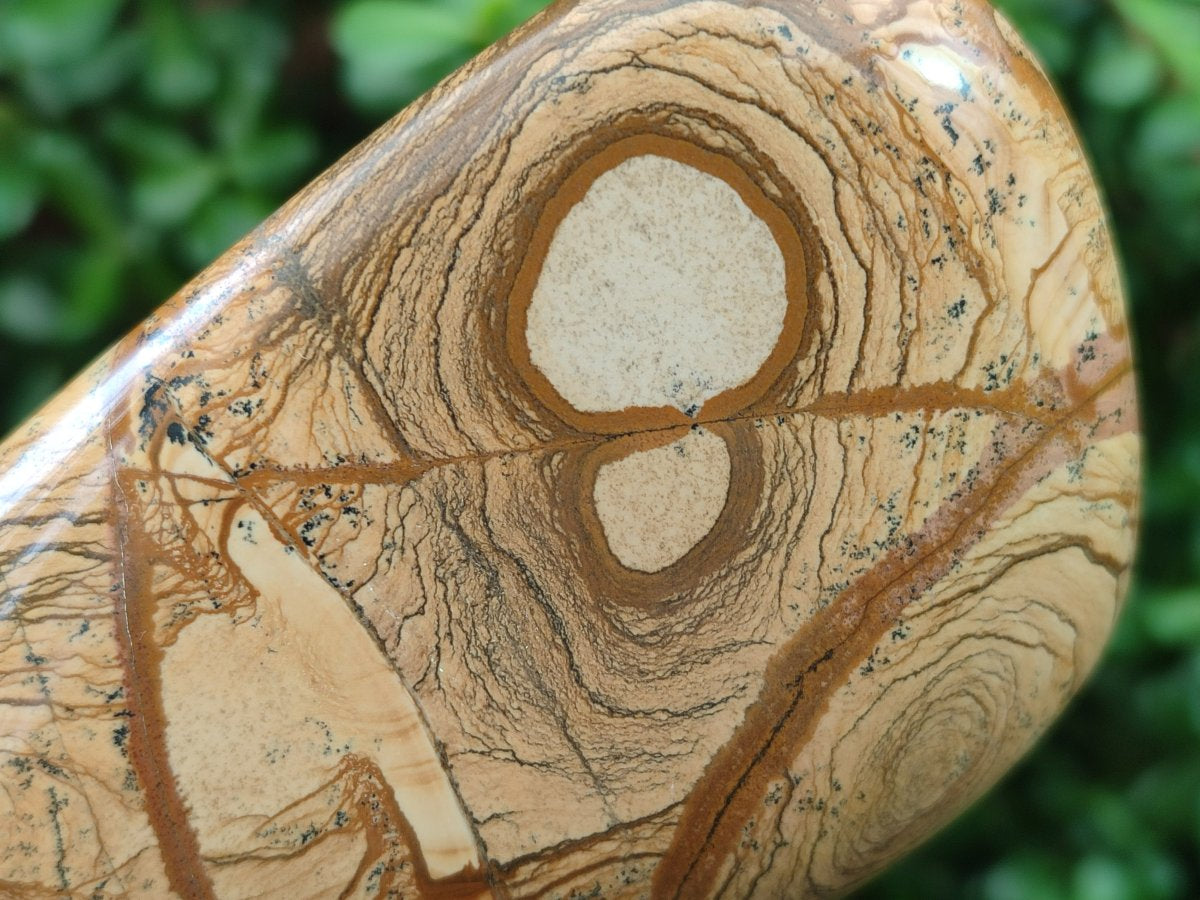 Polished Picture Stone Jasper Standing Display Pieces x 2 From Ais-Ais, Namibia