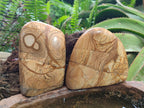 Polished Picture Stone Jasper Standing Display Pieces x 2 From Ais-Ais, Namibia