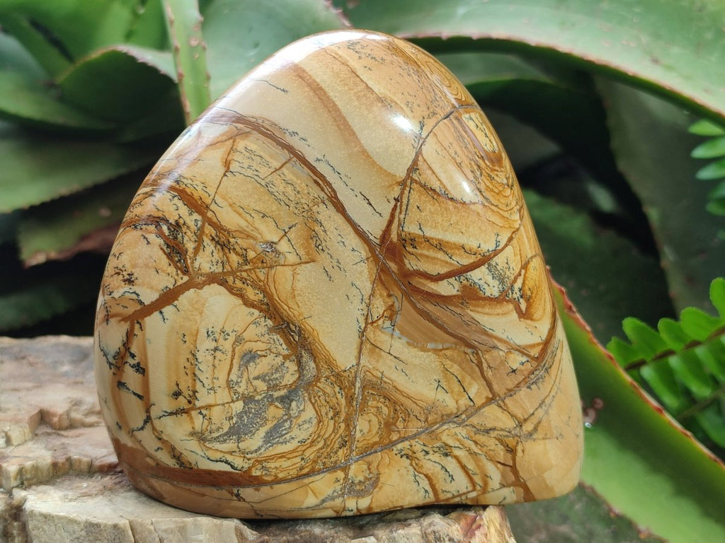Polished Picture Stone Jasper Standing Display Pieces x 2 From Ais-Ais, Namibia