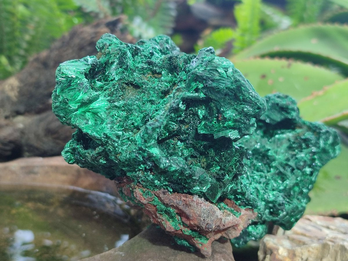 Natural Large Silky Malachite Specimen x 1 From Kasompe, Congo