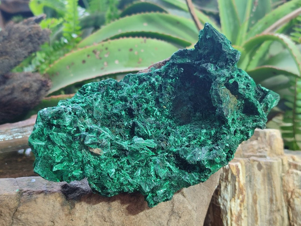 Natural Large Silky Malachite Specimen x 1 From Kasompe, Congo