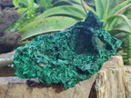 Natural Large Silky Malachite Specimen x 1 From Kasompe, Congo