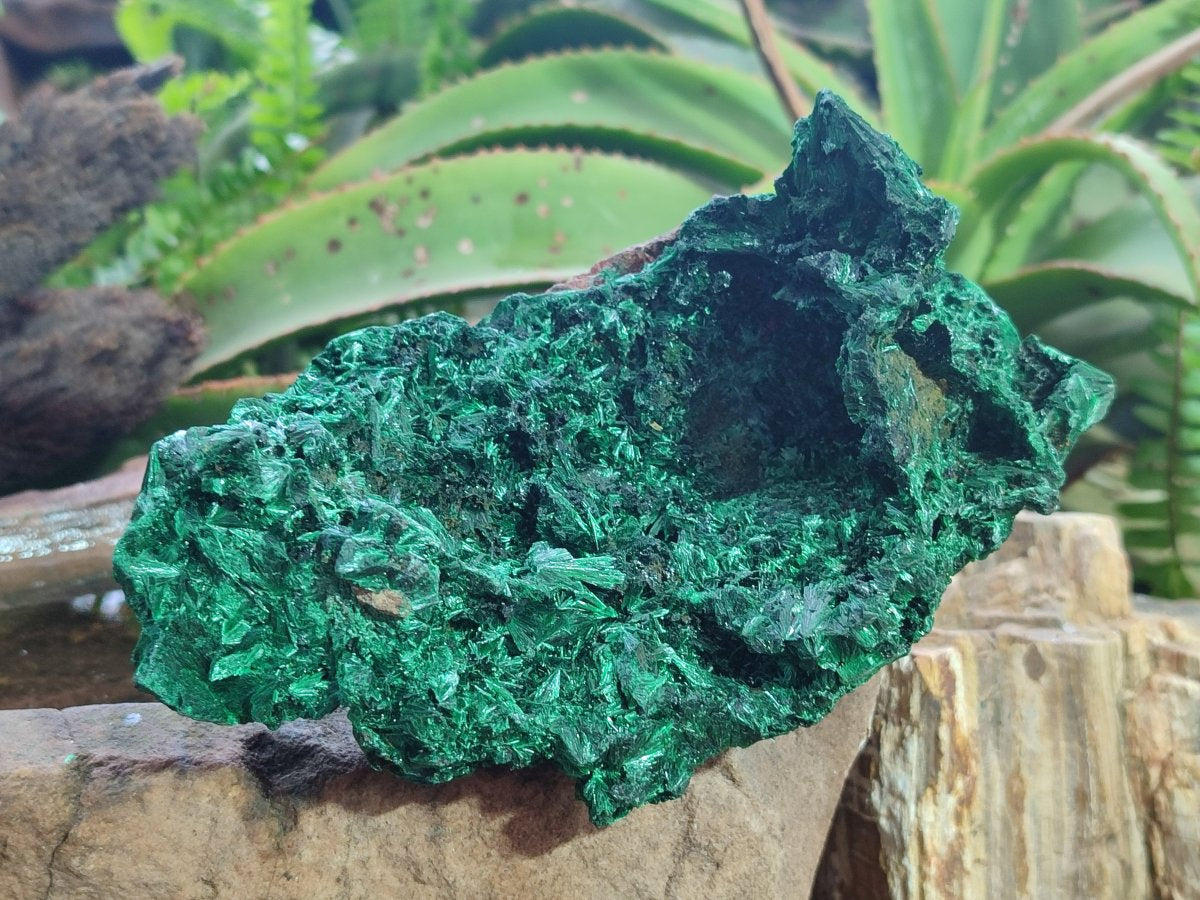 Natural Large Silky Malachite Specimen x 1 From Kasompe, Congo