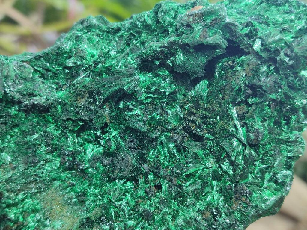 Natural Large Silky Malachite Specimen x 1 From Kasompe, Congo
