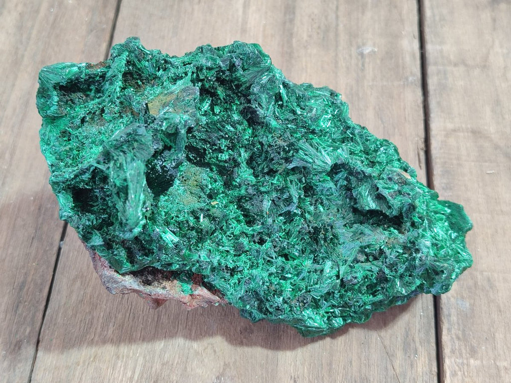 Natural Large Silky Malachite Specimen x 1 From Kasompe, Congo