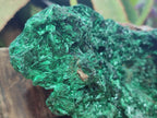Natural Large Silky Malachite Specimen x 1 From Kasompe, Congo