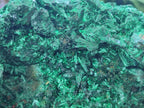 Natural Large Silky Malachite Specimen x 1 From Kasompe, Congo