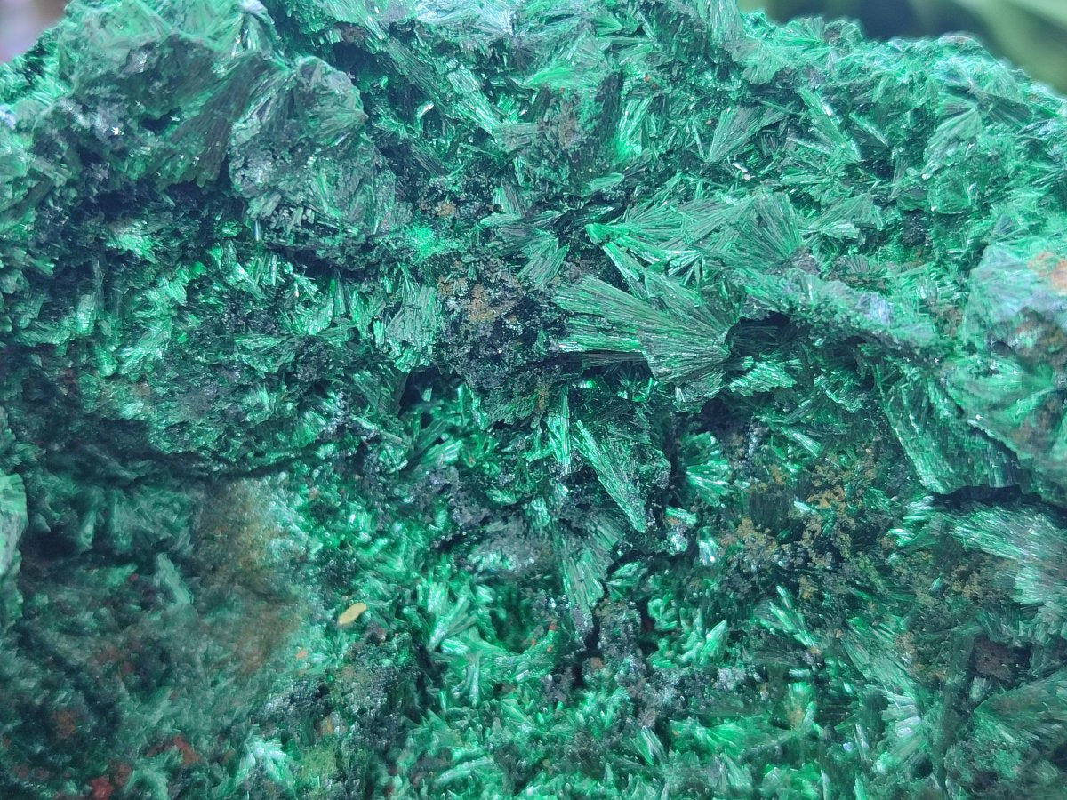 Natural Large Silky Malachite Specimen x 1 From Kasompe, Congo
