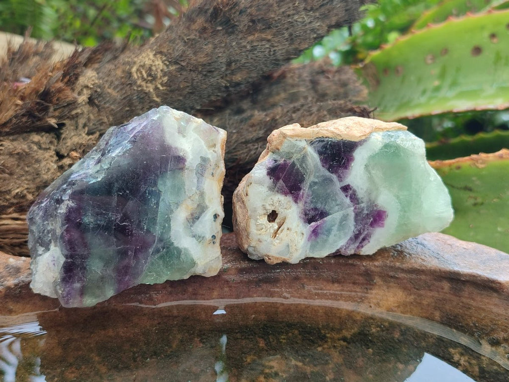 Polished One Side Watermelon Fluorite Nodules x 12 From Uis, Namibia