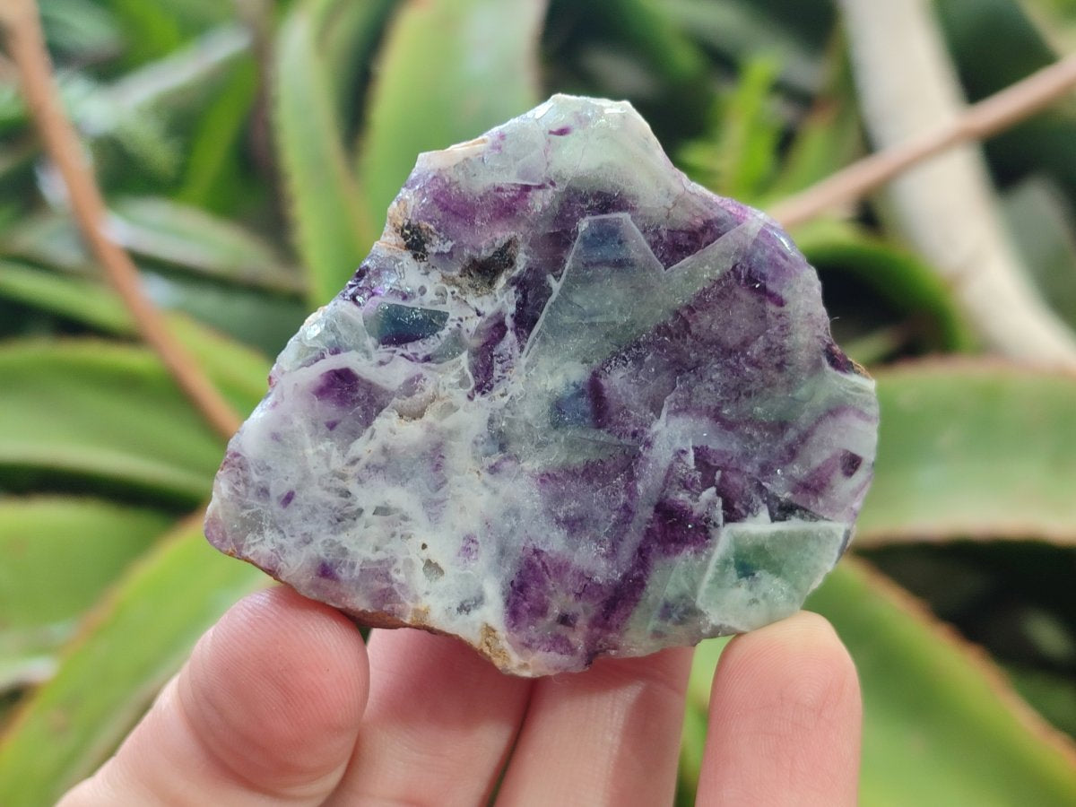 Polished One Side Watermelon Fluorite Nodules x 12 From Uis, Namibia