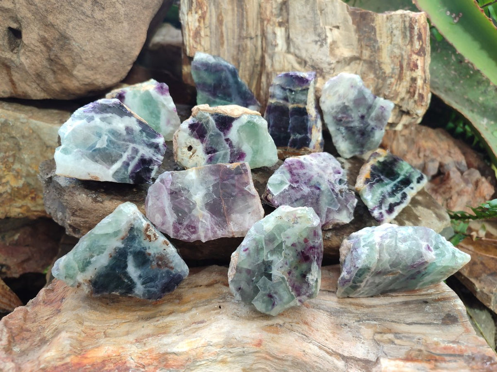 Polished One Side Watermelon Fluorite Nodules x 12 From Uis, Namibia