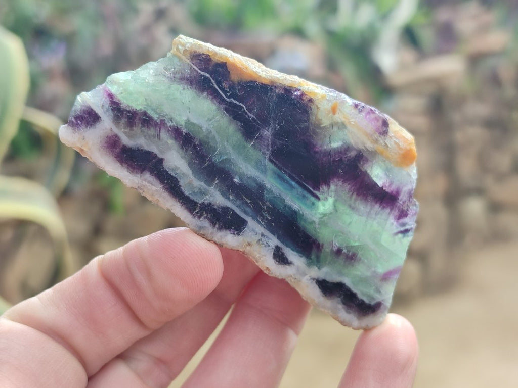 Polished One Side Watermelon Fluorite Nodules x 12 From Uis, Namibia