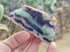 Polished One Side Watermelon Fluorite Nodules x 12 From Uis, Namibia