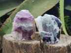 Polished One Side Watermelon Fluorite Nodules x 12 From Uis, Namibia