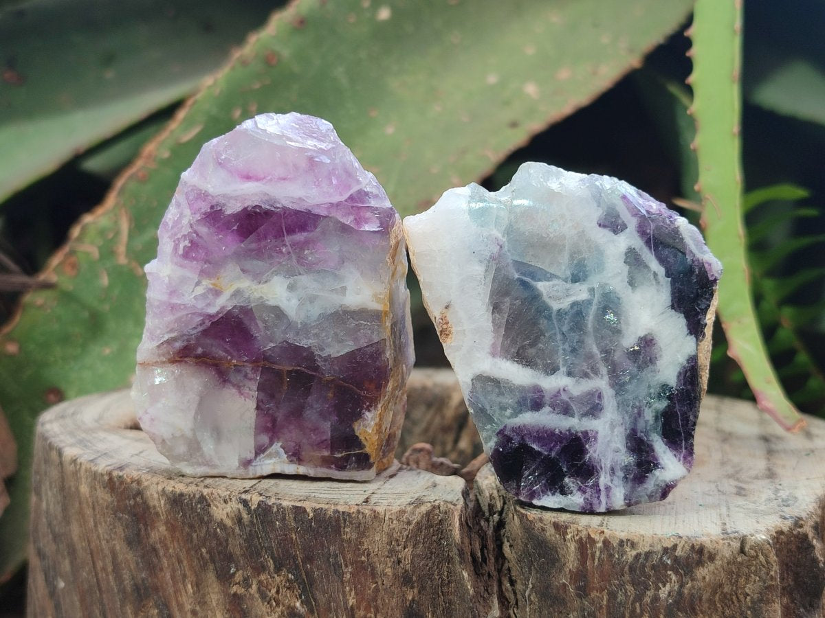 Polished One Side Watermelon Fluorite Nodules x 12 From Uis, Namibia