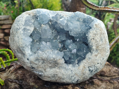 Natural Large Blue Celestite Geode Specimen x 1 From Sakoany, Madagascar