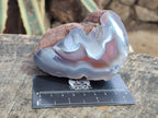 Polished One Side Red Shashe River Agate Nodules x 4 From Shashe River, Zimbabwe
