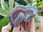 Polished One Side Red Shashe River Agate Nodules x 4 From Shashe River, Zimbabwe