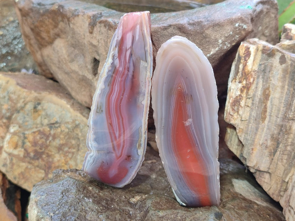 Polished One Side Red Shashe River Agate Nodules x 4 From Shashe River, Zimbabwe