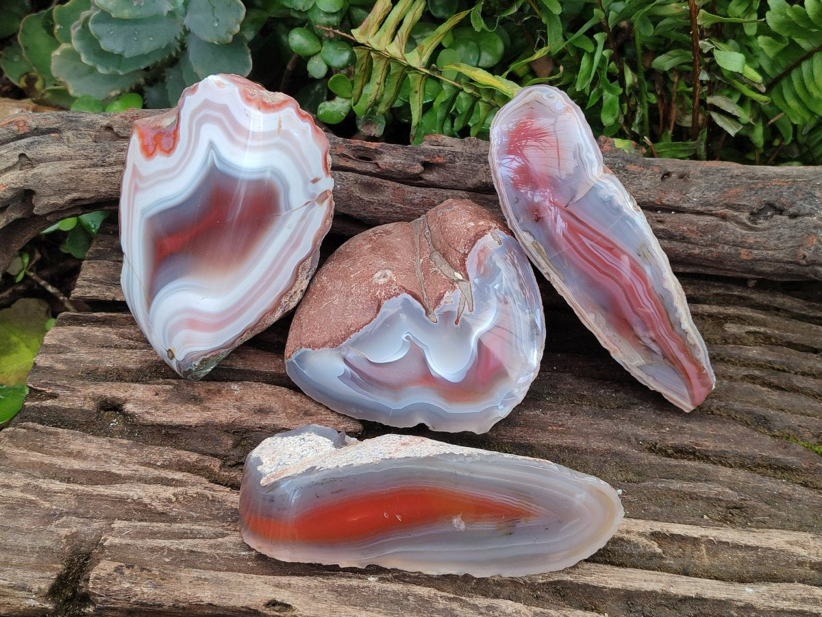 Polished One Side Red Shashe River Agate Nodules x 4 From Shashe River, Zimbabwe
