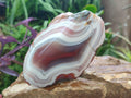 Polished One Side Red Shashe River Agate Nodules x 4 From Shashe River, Zimbabwe