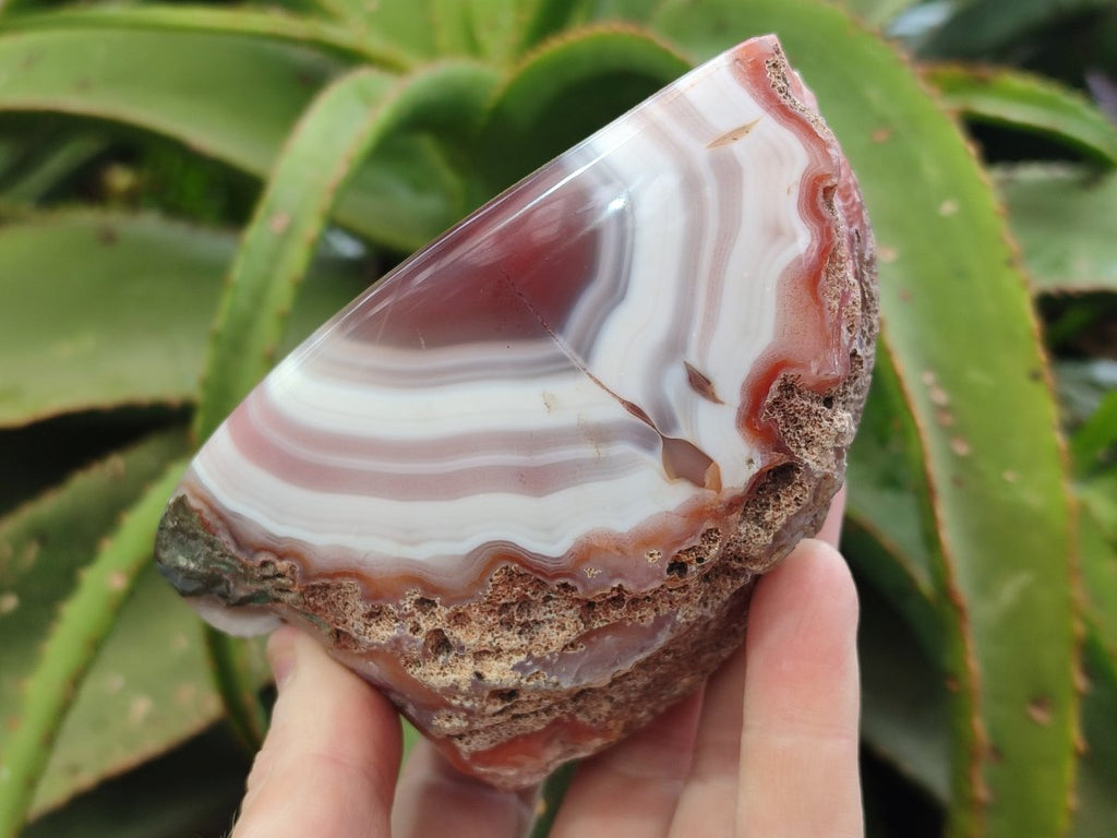 Polished One Side Red Shashe River Agate Nodules x 4 From Shashe River, Zimbabwe
