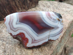 Polished One Side Red Shashe River Agate Nodules x 4 From Shashe River, Zimbabwe