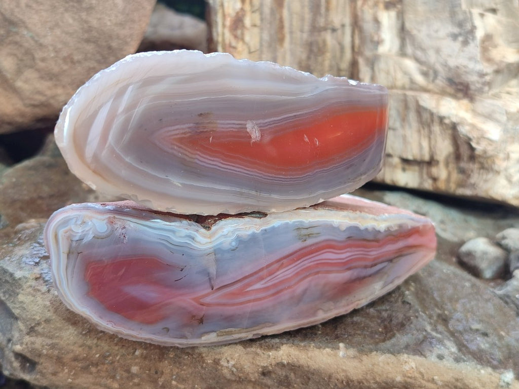 Polished One Side Red Shashe River Agate Nodules x 4 From Shashe River, Zimbabwe