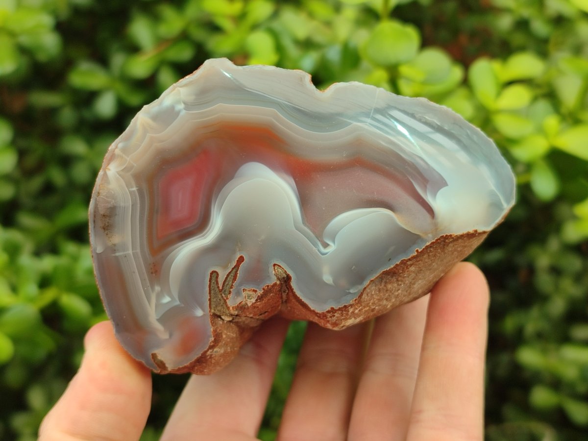 Polished One Side Red Shashe River Agate Nodules x 4 From Shashe River, Zimbabwe