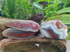 Polished One Side Red Shashe River Agate Nodules x 4 From Shashe River, Zimbabwe