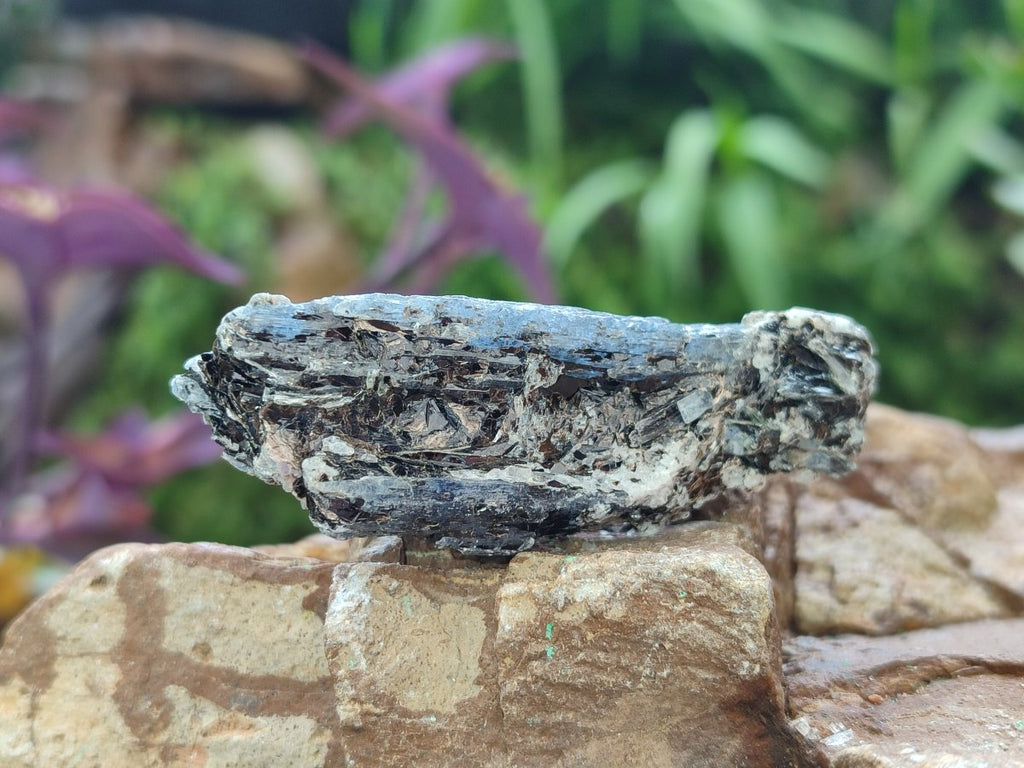 Natural Blue Kyanite Crystals x 58 From Karoi, Zimbabwe
