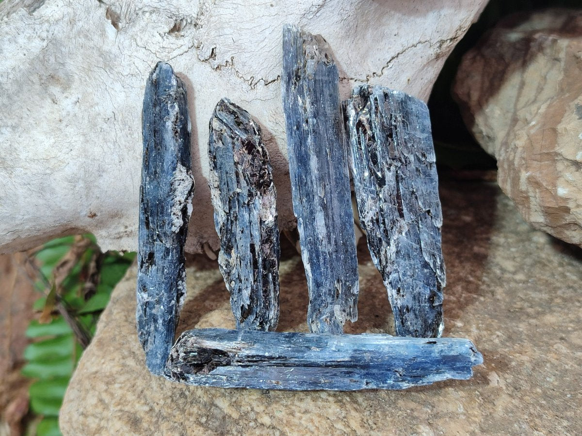 Natural Blue Kyanite Crystals x 58 From Karoi, Zimbabwe