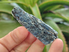 Natural Blue Kyanite Crystals x 58 From Karoi, Zimbabwe