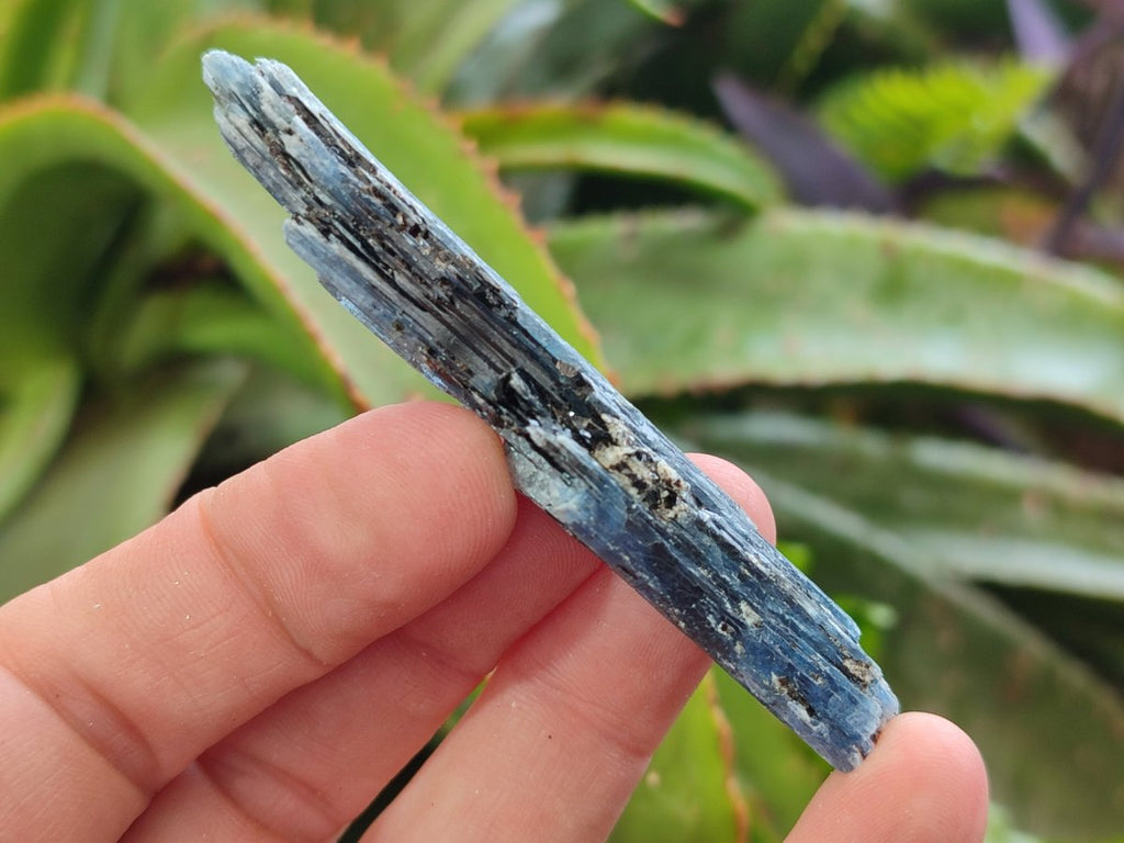 Natural Blue Kyanite Crystals x 58 From Karoi, Zimbabwe