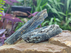 Natural Blue Kyanite Crystals x 58 From Karoi, Zimbabwe