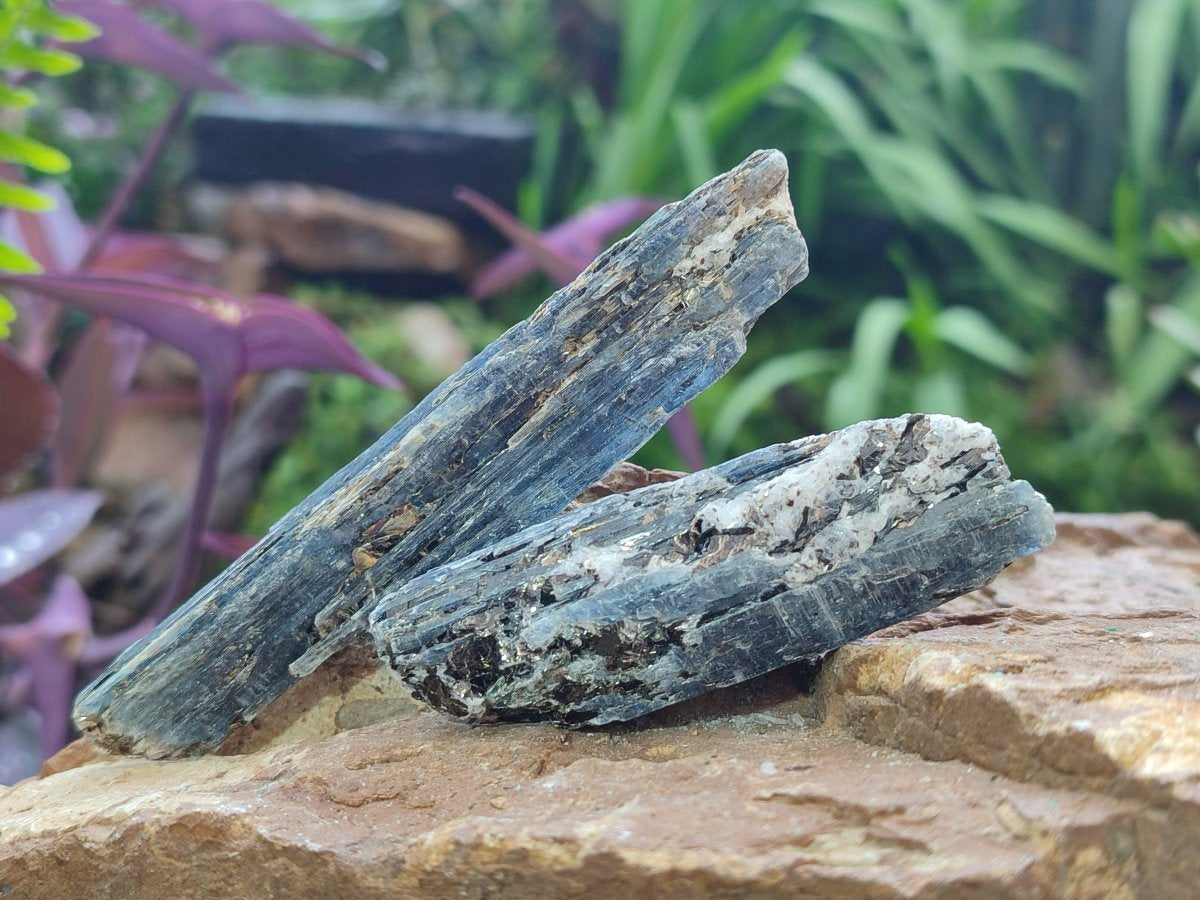 Natural Blue Kyanite Crystals x 58 From Karoi, Zimbabwe