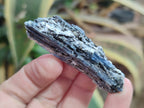 Natural Blue Kyanite Crystals x 58 From Karoi, Zimbabwe