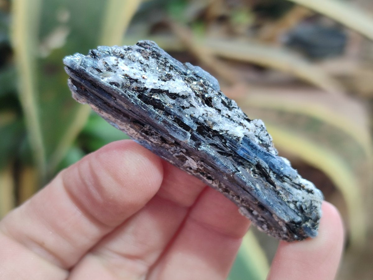 Natural Blue Kyanite Crystals x 58 From Karoi, Zimbabwe