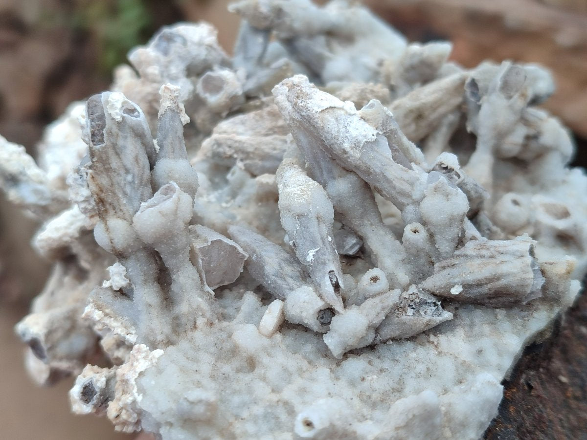 Natural Rhombohedral and Spearhead Calcite Specimens with Phosphorus Aragonite x 3 From Albert's Mountain, Lesotho